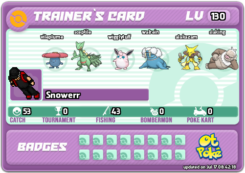 Snowerr Card otPokemon.com